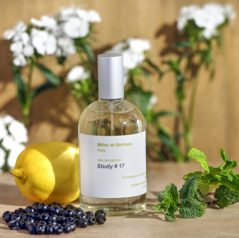 Eau de parfum STUDY #17